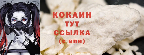 прущий лед Богданович