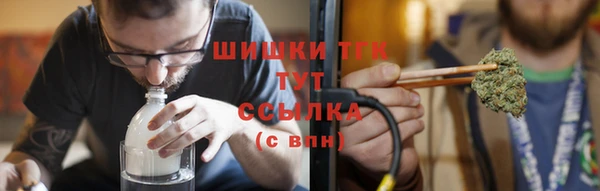 прущий лед Богданович