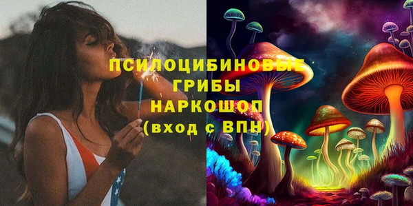 прущий лед Богданович
