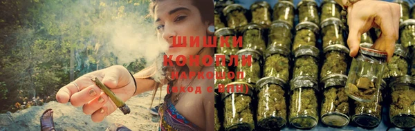 МДПВ Богородицк