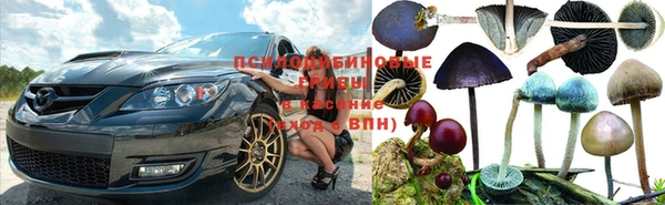 прущий лед Богданович
