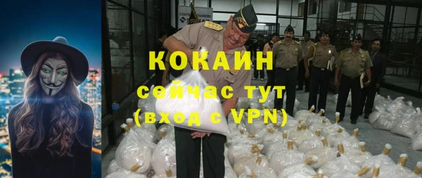 прущий лед Богданович