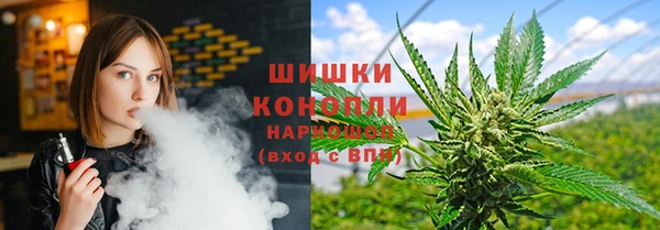 прущий лед Богданович